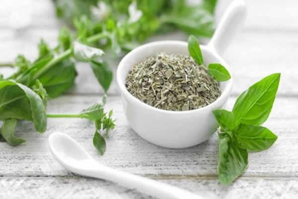 تصویر 3 از قیمت خرید نعنا خشک عمده + فروش ویژه